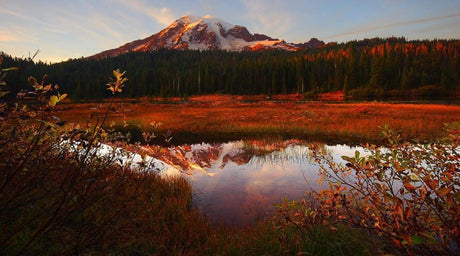 Top 5 National Parks for Fall Camping