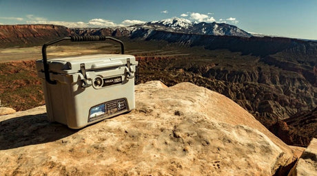 Coolers & Storage Cases: What to Look For When Shopping