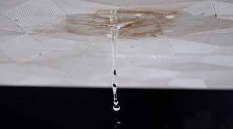 Help! My RV Roof Is Leaking: What Do I Do?