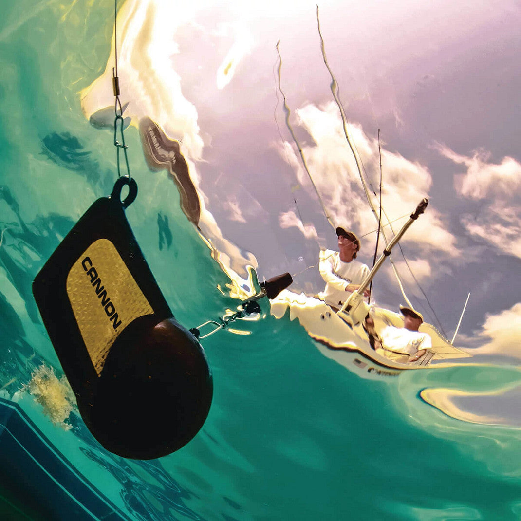 Product of Cannon 2250002 Downrigger Terminator Kit