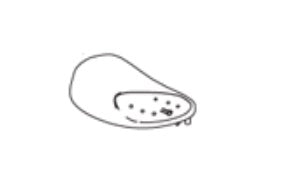 Product of Thetford 5181262 Toilet Flush Control Panel