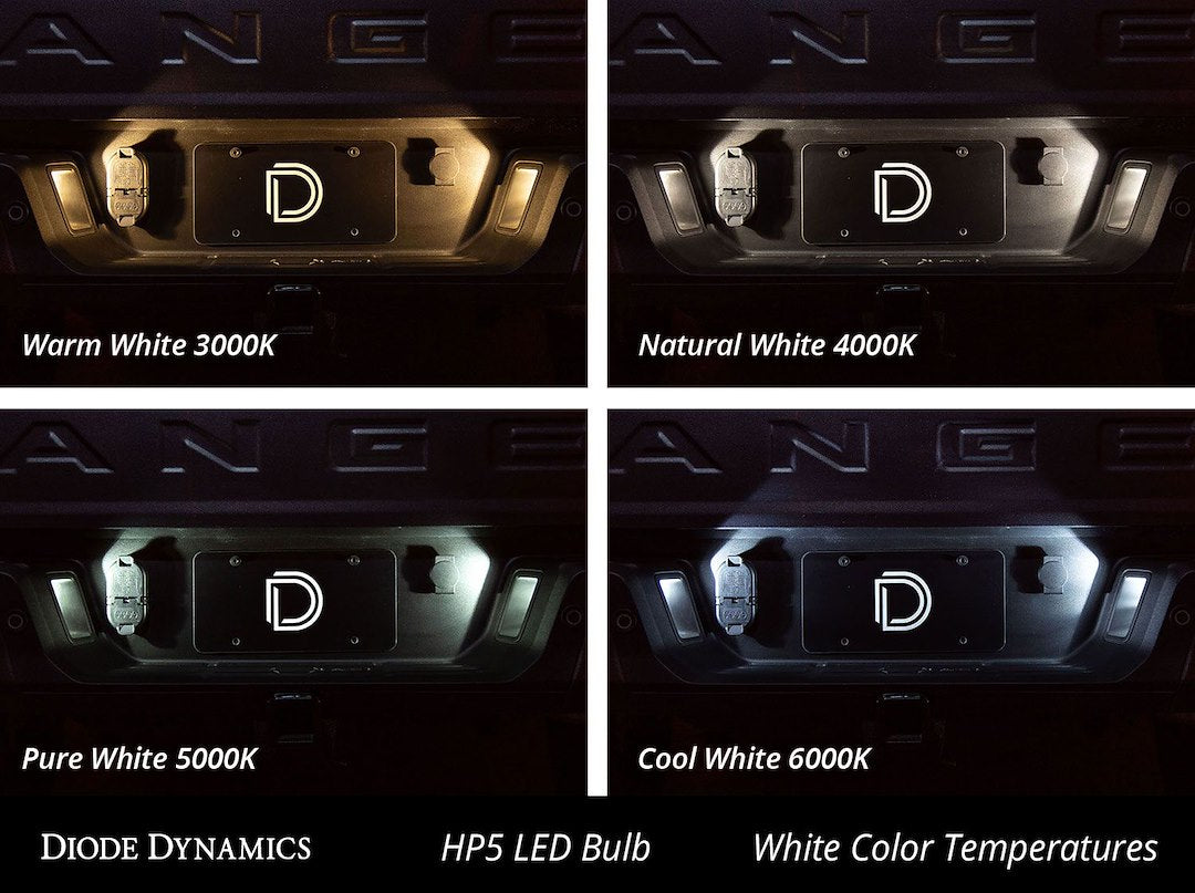 Diode Dynamics Dd0031p Dome Light Bulb||dd0031p_2.Jpg||87||diodd0031p||1745907