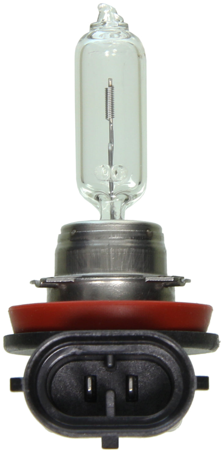 Wagner Lighting Bp1265/H9 Headlight Bulb||bp1265h9_P01_Con.Jpg||88||w31bp1265h9||943353