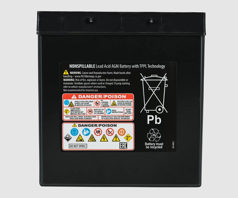 Product of Odyssey Battery Ods-Agm30l Battery