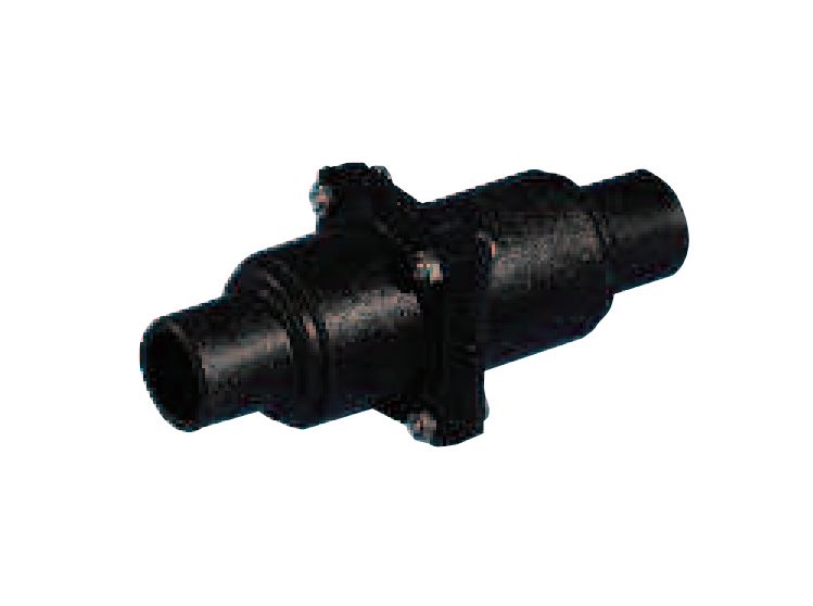Product of Whale Lv1215b Waste Water Check Valve