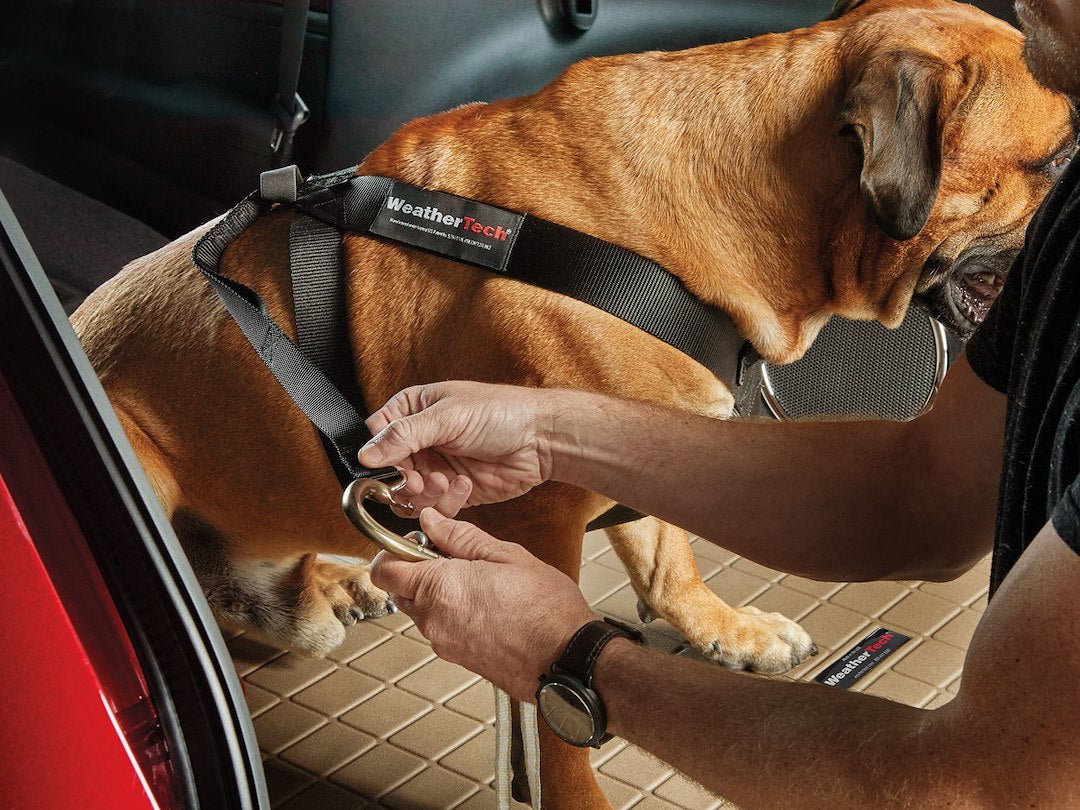 Weathertech (Usa) 84ph3749bk Pet Harness||84ph3749bk_2.Jpg||86||w2484ph3749bk||1130960