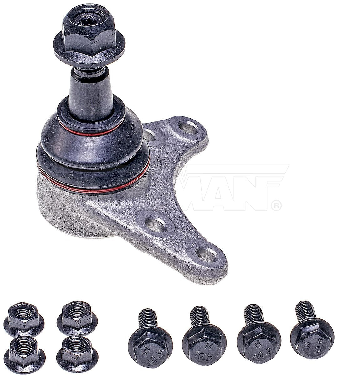 Dorman Chassis Bj90036xl Ball Joint||bj90036xl-007.Jpg||85||d18bj90036xl||1283687