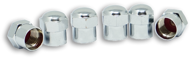 Product of Minder Research Tm22313vp Valve Stem Cap