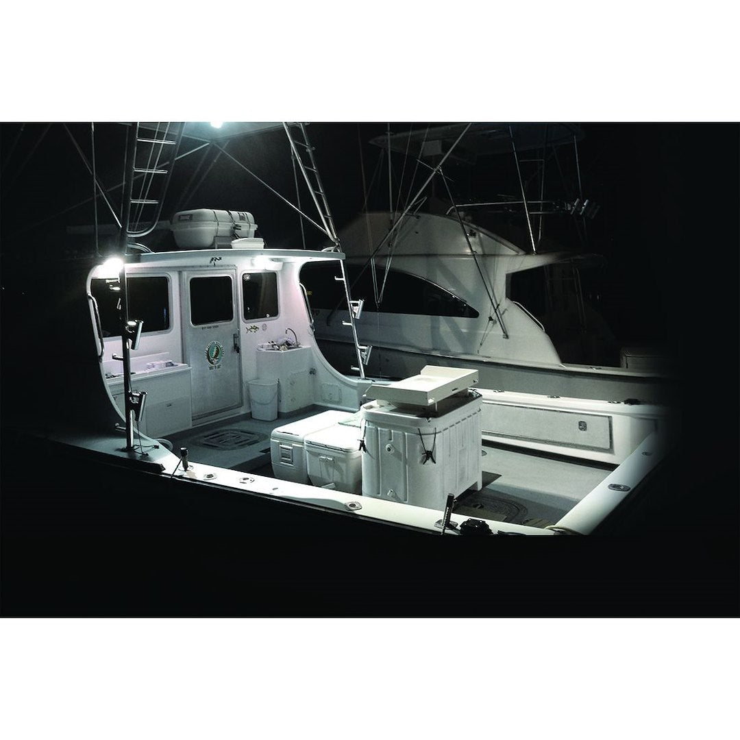 Rigid Lighting 902113 Driving/ Fog Light||902113_1.Jpg||86||r2g902113||938482