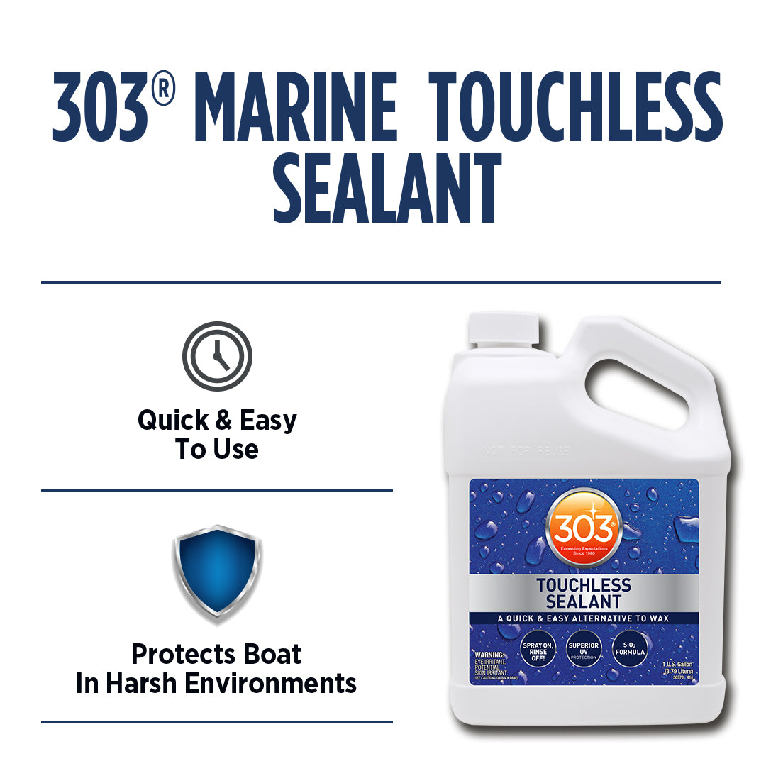 Product of 303 Products Inc. 30399 Paint Sealant