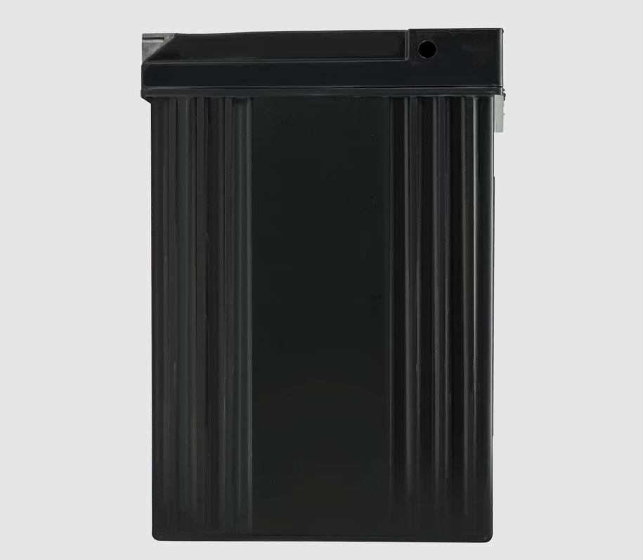 Product of Odyssey Battery Ods-Agm30l Battery