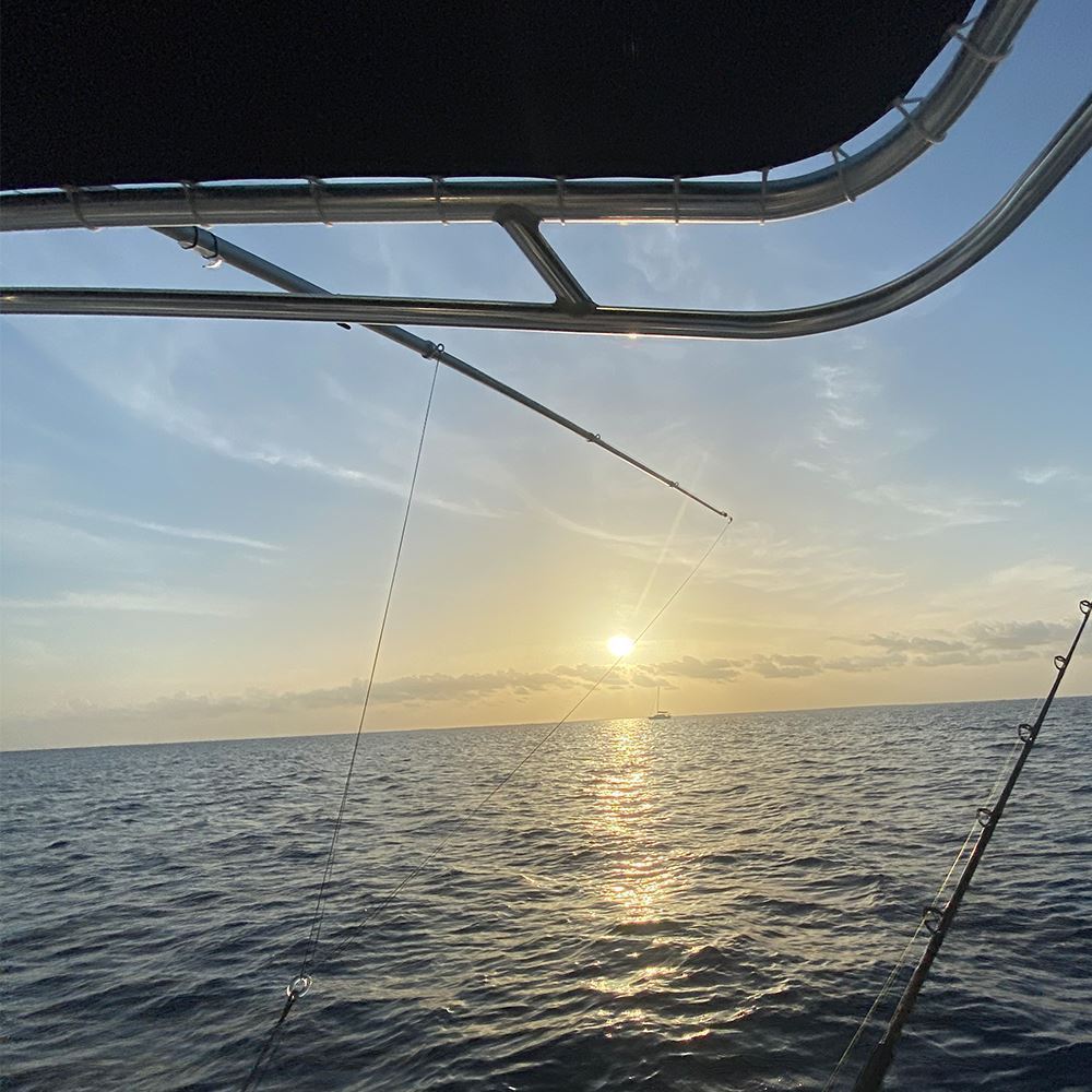 Product of Taco Ot-0542bka15-Hd Fishing Outrigger Pole