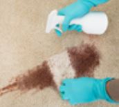 Unduzit Chemicals 124599 Carpet Cleaner||124599_R_1.Jpg||87||und124599||857795