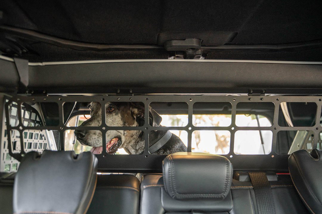 Dv8 Offroad Mpbr-10 Pet Barrier||2021-2024-Ford-Bronco-Dog-Barrier-With-Dog-8.Jpg||95||dv8mpbr10||1628179