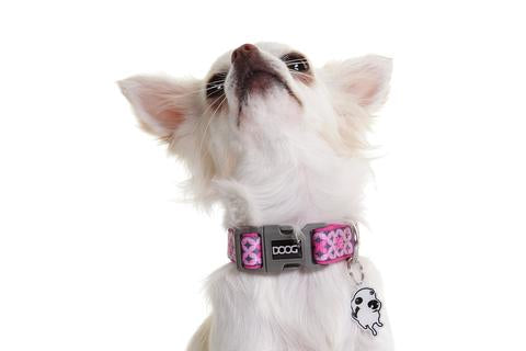 Doog Colpbs-L Pet Collar||colpbs-L_1.Jpg||86||d7ucolpbsl||1297836