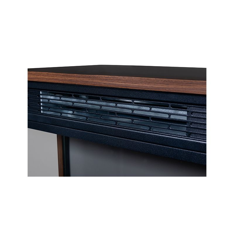 Product of Pinnacle Appliances Pfl 24 Fireplace Insert