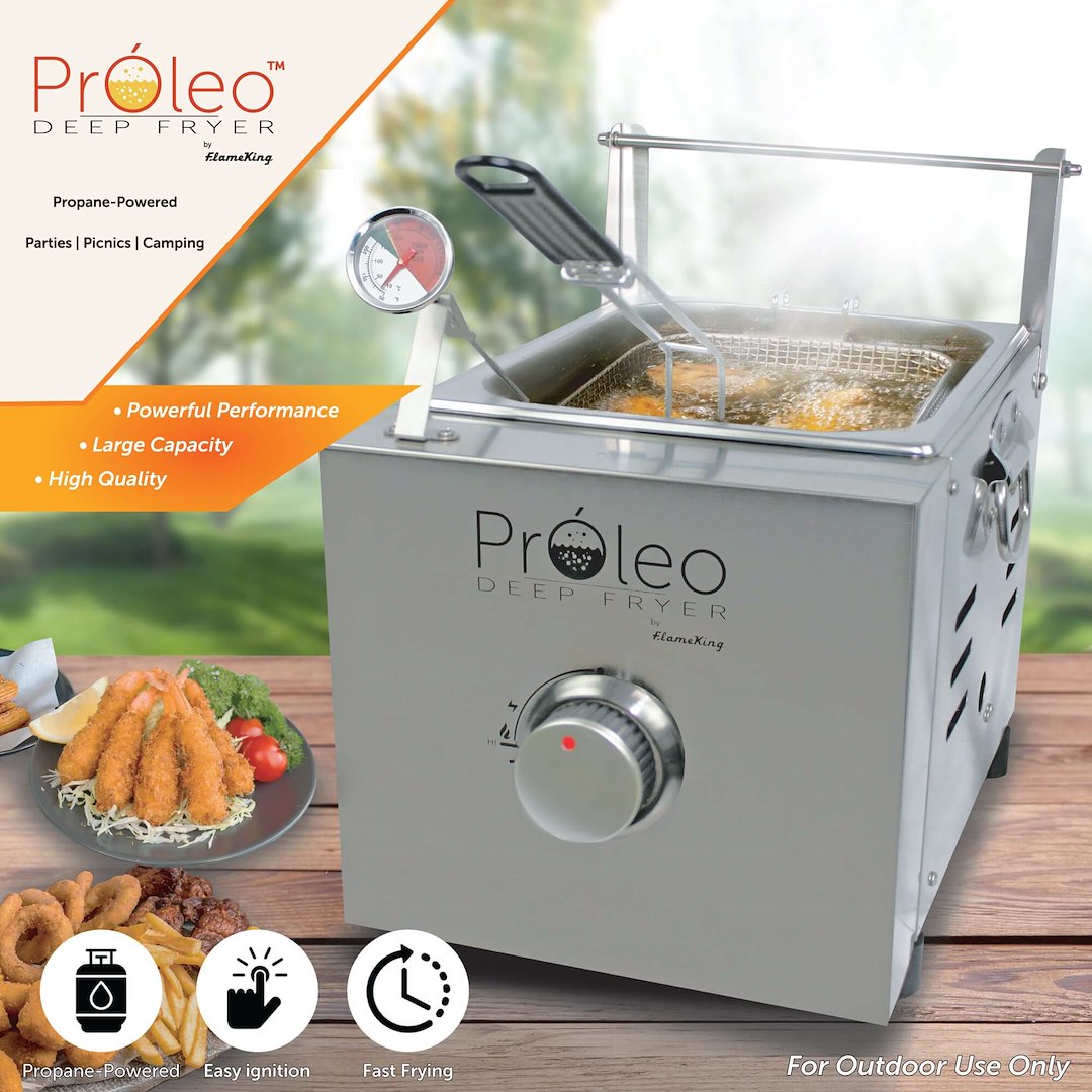 Flame King Proleo Fryer||proleo_6.Jpg||91||y6eproleo||1758932