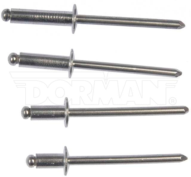 Dorman (Oe Solutions) 961-025 Rivet||961-025_1.Jpg||86||d18961025||1636920