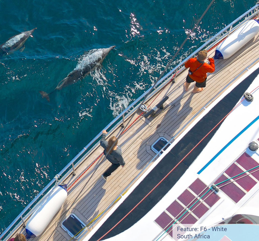 Product of Polyform 51-654-951 Boat Fender