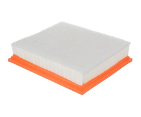 Product of Fram Filter CA11895 EXTRA GUARD ® OEM Disposable Air Filter