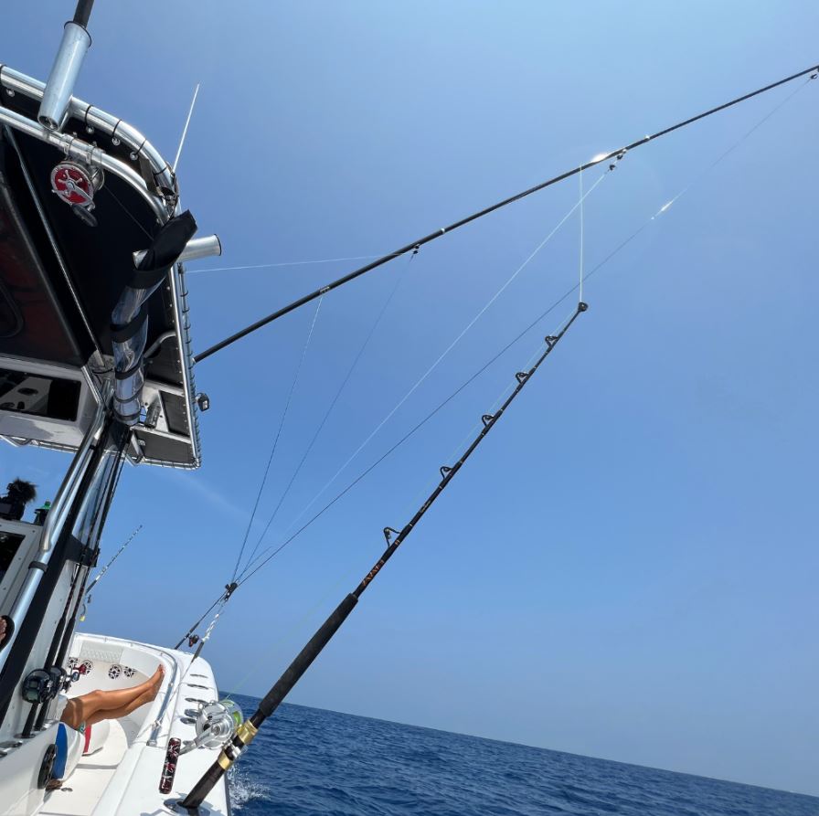 Taco Oi-3190cf Fishing Outrigger Pole||oi-3190cf_14.Jpg||95||t9aoi3190cf||1745560