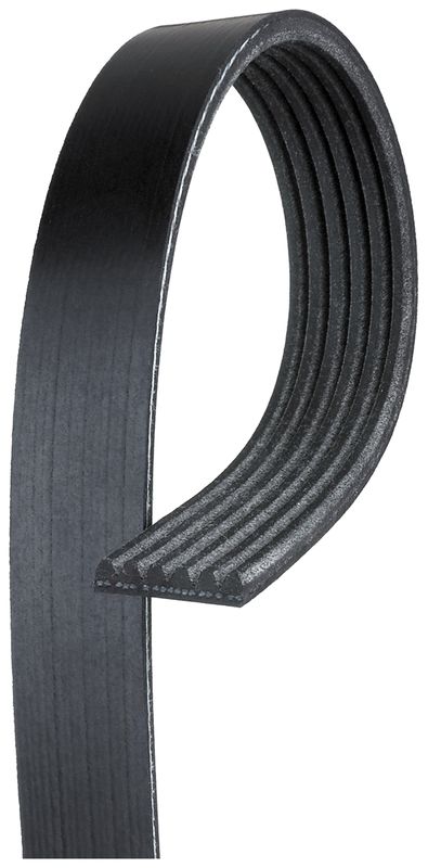Product of Gates K061025 Serpentine Belt