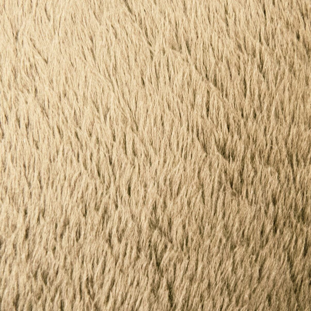 Product of Lippert Components 380764 Bunk Bed Mattress