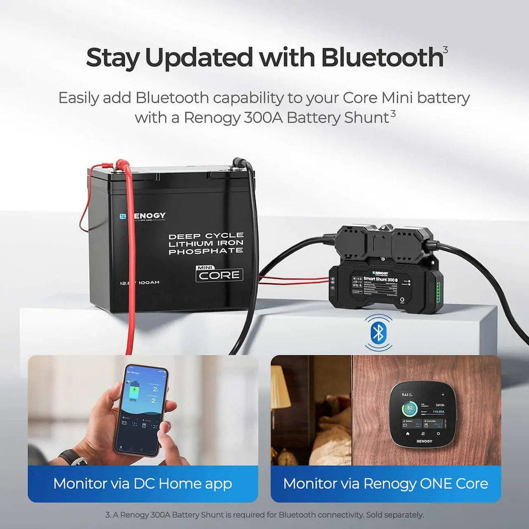Renogy Rbt12100lfp-M-G1-Us Battery||rbt12100lfp-M-G1-Us_2.Jpg||87||ren5230194||2259389