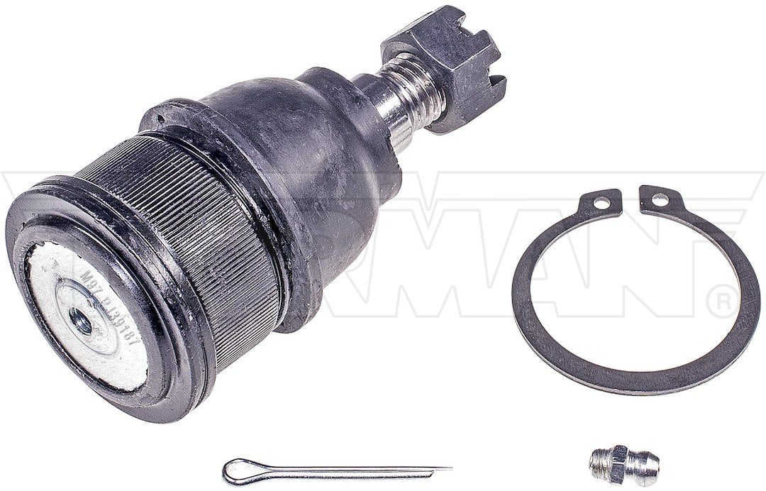 Dorman Mas Select Chassis Bj59255 Ball Joint||bj59255-007.Jpg||85||d18bj59255||1163535