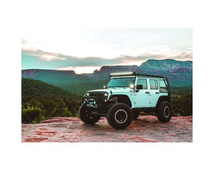 Product of Rigid Lighting 262213 Driving/ Fog Light