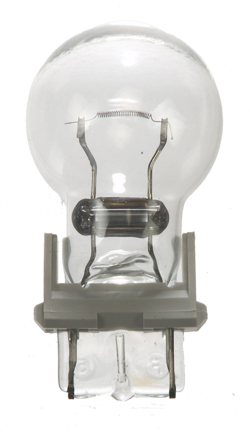 Product of Wagner Lighting Bp3156 Backup Light Bulb