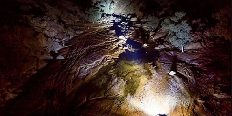 Product of ARB SJB36SFKIT Driving/ Fog Light