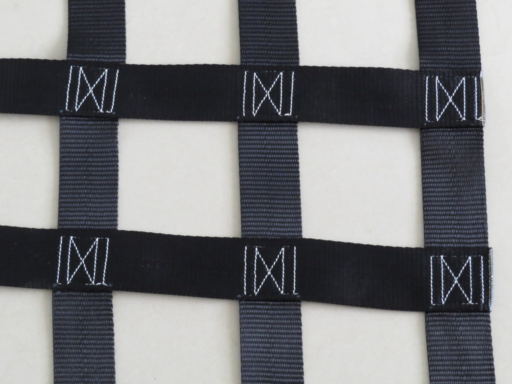 Product of Trailfx G22029b Exterior Cargo Net