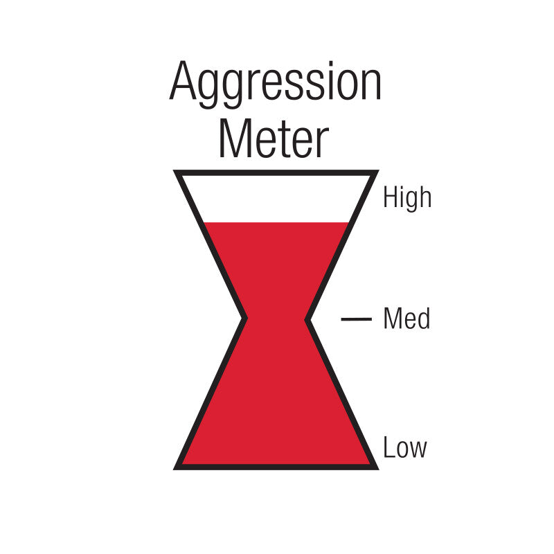 Product of Black Widow Exhaust BW0011-C Race Venom Stainless Steel Exhaust Muffler