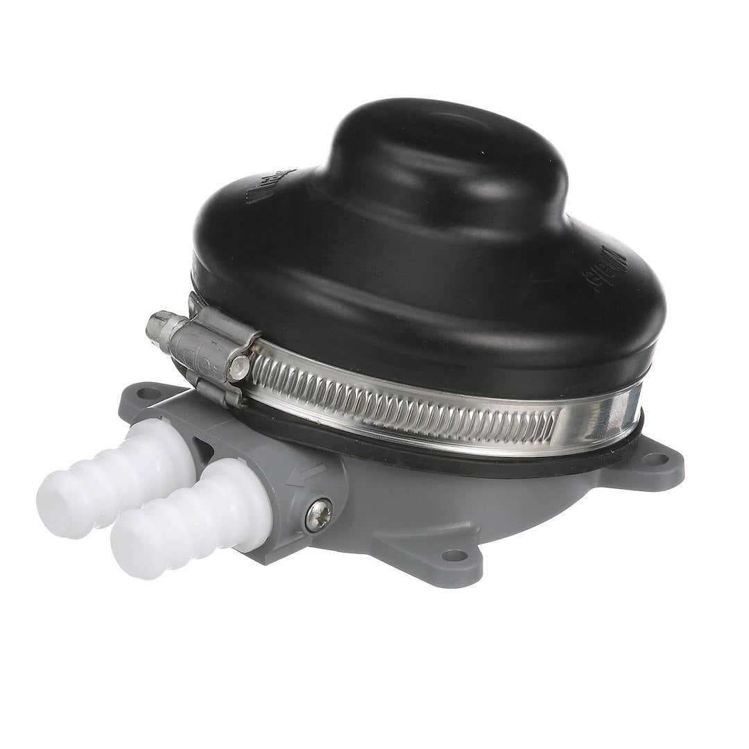 Product of Whale Gp4618 Fresh Water Pump