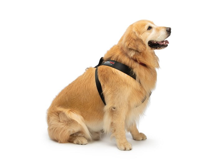 Weathertech (Usa) 84ph2830bk Pet Harness||84ph2830bk_1.Jpg||85||w2484ph2830bk||1278763