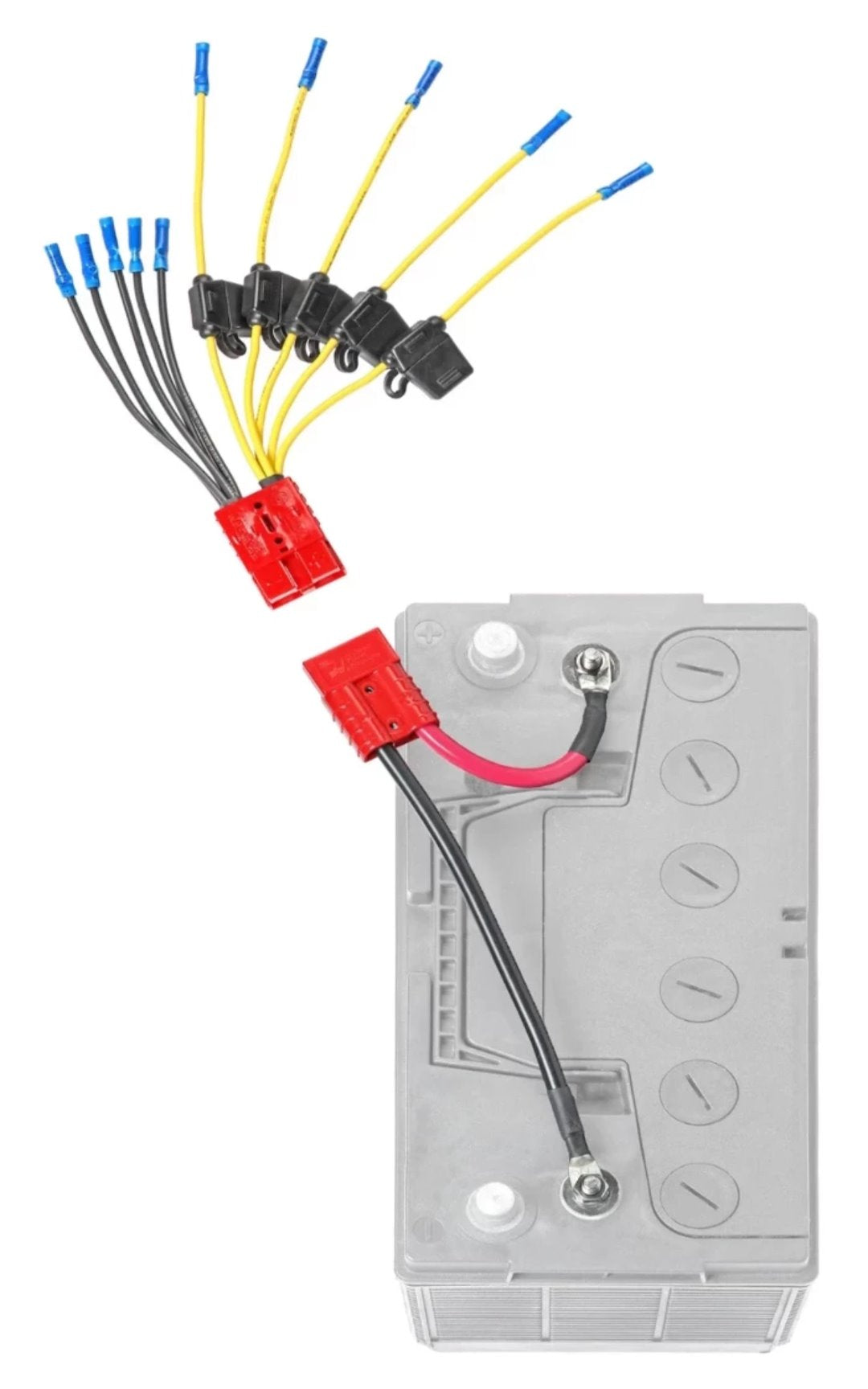 Connect-Ease Ce12vb5fk Battery Connection Harness||ce12vb5fk_1.Jpg||86||conce12vb5fk||1020481