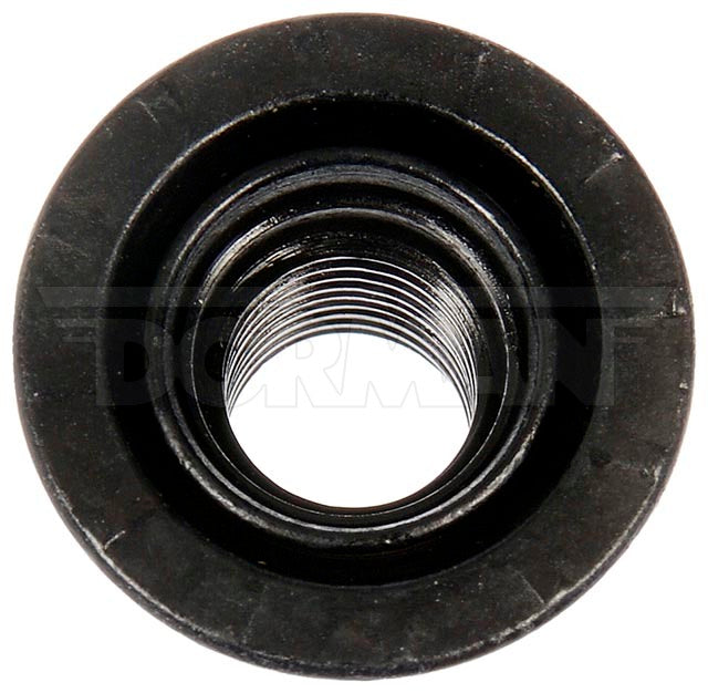 Dorman (Oe Solutions) 611-172.1 Lug Nut||611-172.1_1.Jpg||86||d186111721||1631101