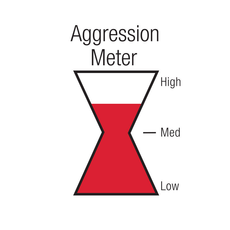 Product of Black Widow Exhaust BW001-P Venom 250-Series Stainless Steel Exhaust Muffler