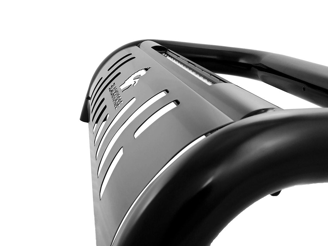 Product of Black Horse Offroad BE-A1702B Bull Bar  with skid plate