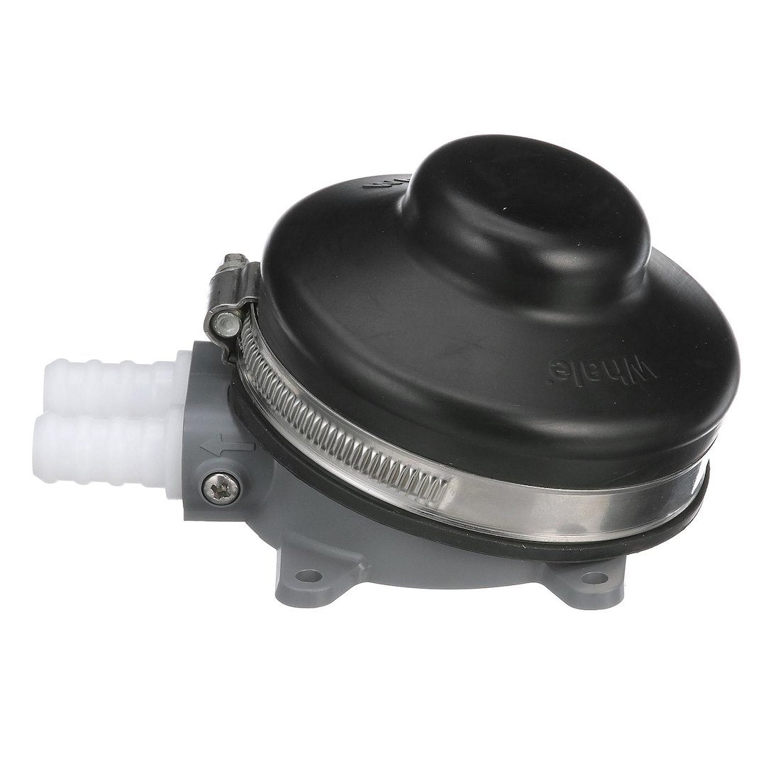 Product of Whale Gp4618 Fresh Water Pump