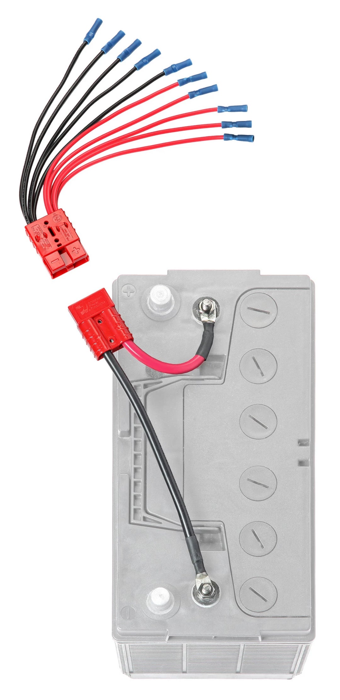 Product of Connect-Ease Ce12vb5k Battery Connection Harness