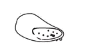 Product of Thetford 5181062 Toilet Flush Control Panel