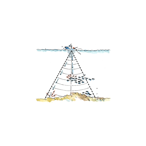 Furuno Fcv295 Fish Finder||fcv295_2.Png||87||furfcv295||2413314