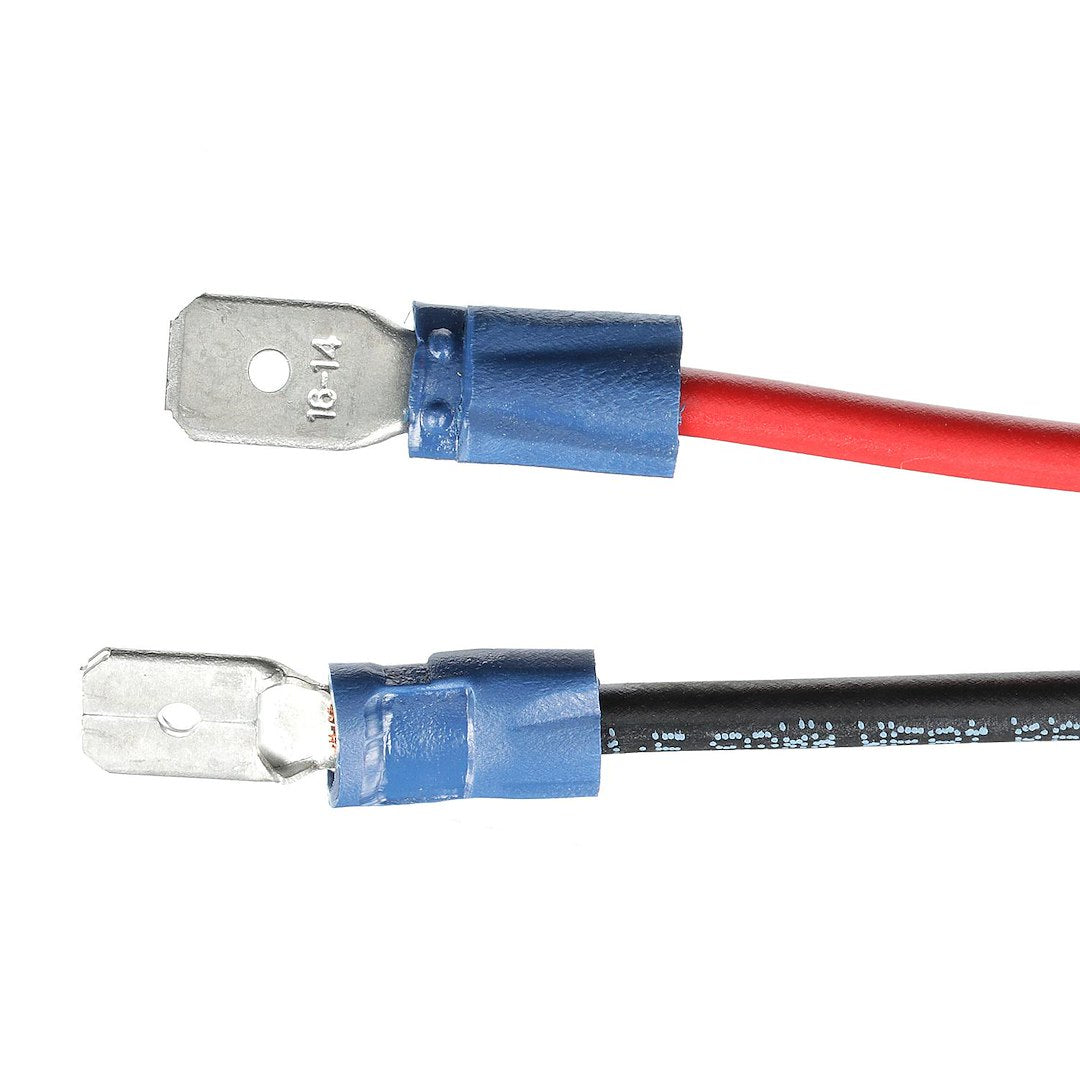 Product of Whale Bp4772 Livewell / Baitwell Pump