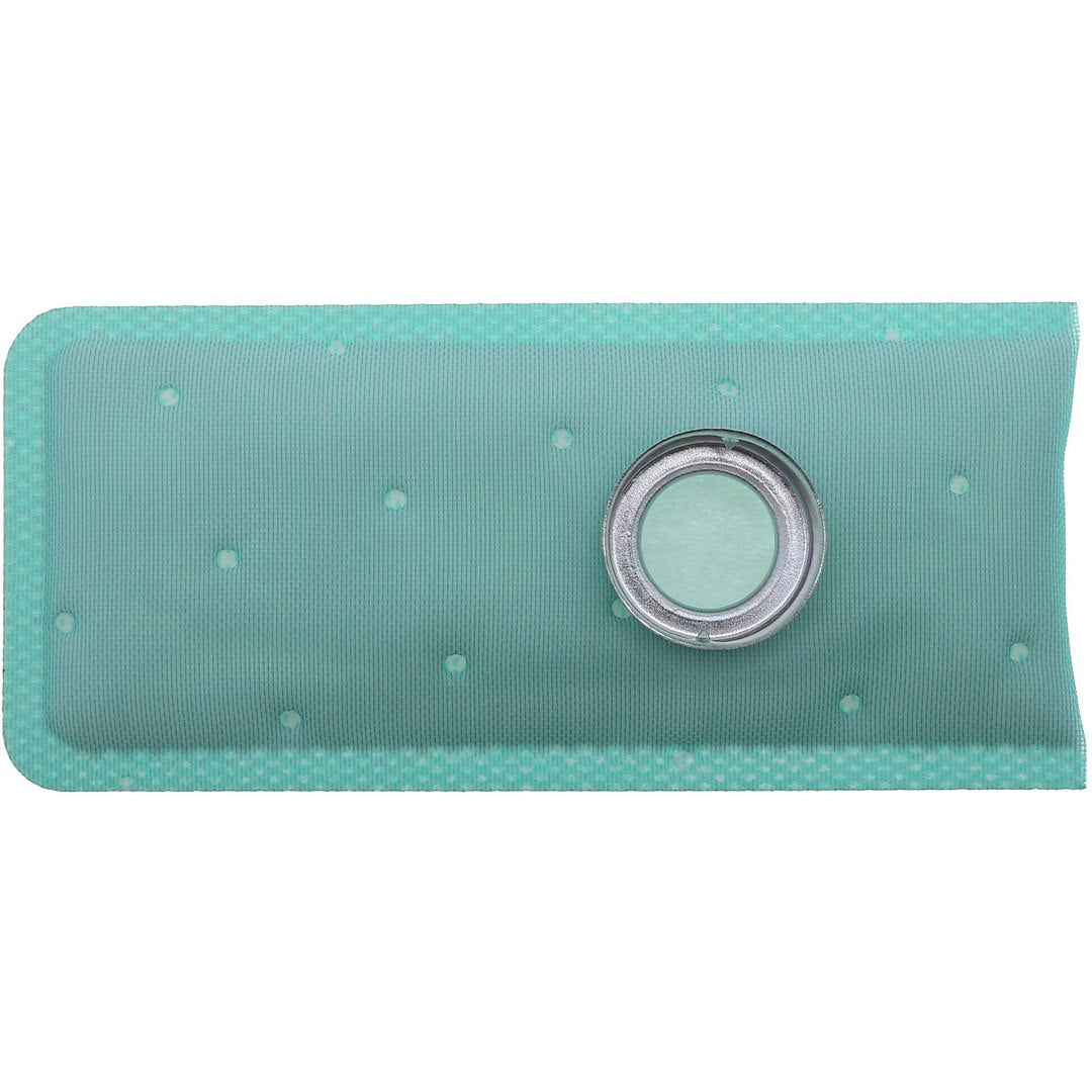 Product of Carter Sts1 Fuel Pump Strainer