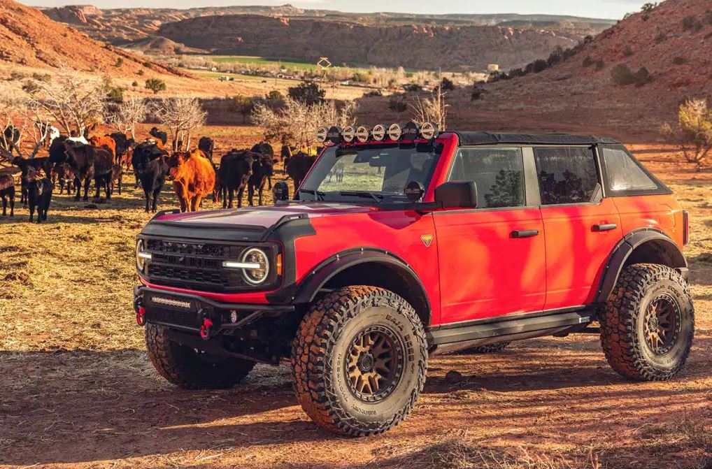 Product of Havoc Offroad HFB-04-003 Fender Flare -