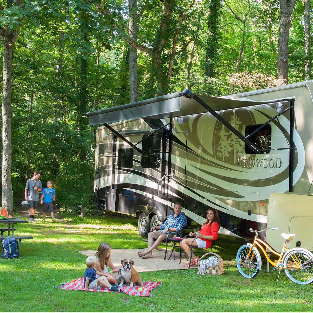 Product of Lippert Components 362233 Awning Enclosure