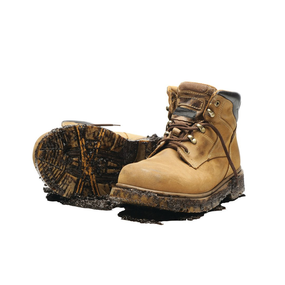 Performance Tool W9451 Boot Brush||w9451_R1.Jpg||88||ptlw9451||1623707