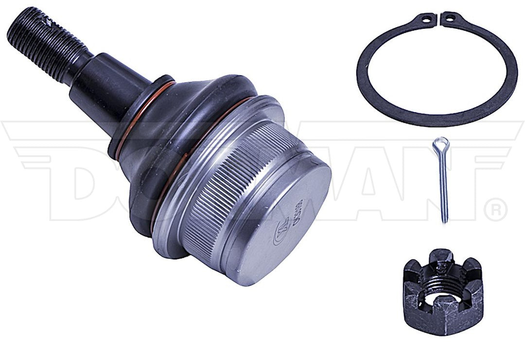 Dorman Chassis Bj82305xl Ball Joint||bj82305xl-002.Jpg||87||d18bj82305xl||962987